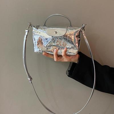 Dumpling Bag 2025 New Women's Bag Fashion Mobile Phone Bag Versatile New Summer Silver Texture Shoulder Crossbody Bag Tide