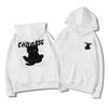 Men’s Trendy Letter Print Loose Fit Hooded Sweatshirt, Autumn/Winter 2025 Hong Kong Style, Versatile for Couples