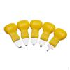 5 Types Case Opener Remover Tool Kit