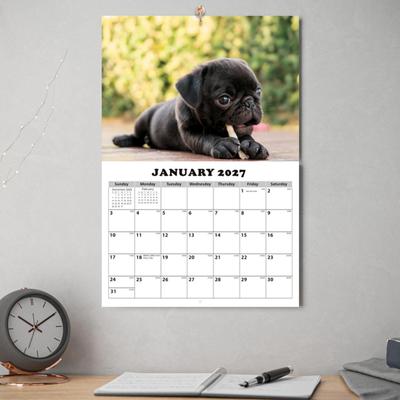 2026 Funny Dog Wall Calendar 12 Month Cute Animal Lovers Decor Spiral Bound Thick Paper Decorative Gift for Pet Owners Office Humor Monthly Layout