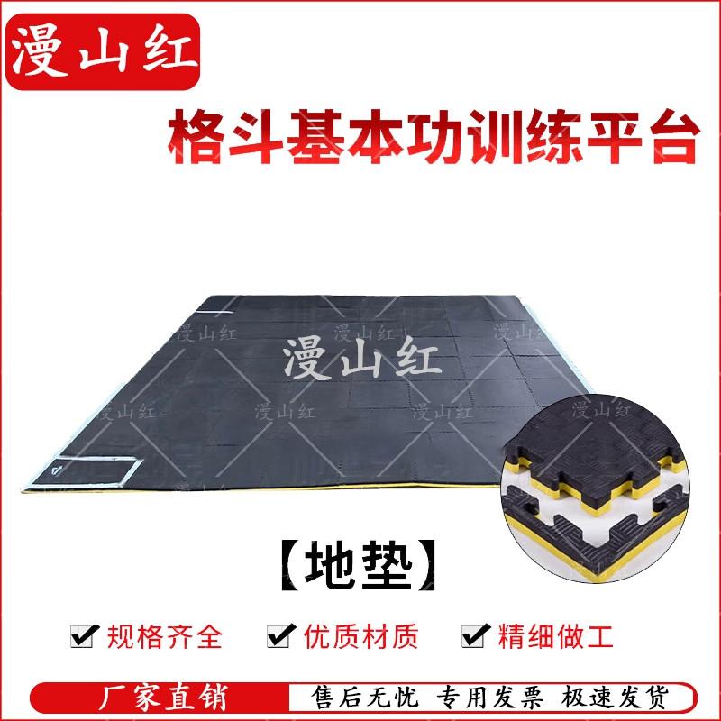 Taekwondo Training Mat