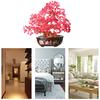 Decorative Tree Beautiful Bonsai Money Tree Decoration Ornament for Wealth and Luck for Home