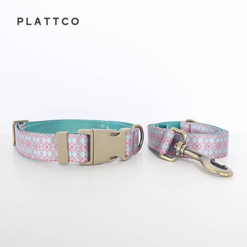 PLATTCO PDC369 Close-Range Dog Training Leash & Collar Set Extra Small