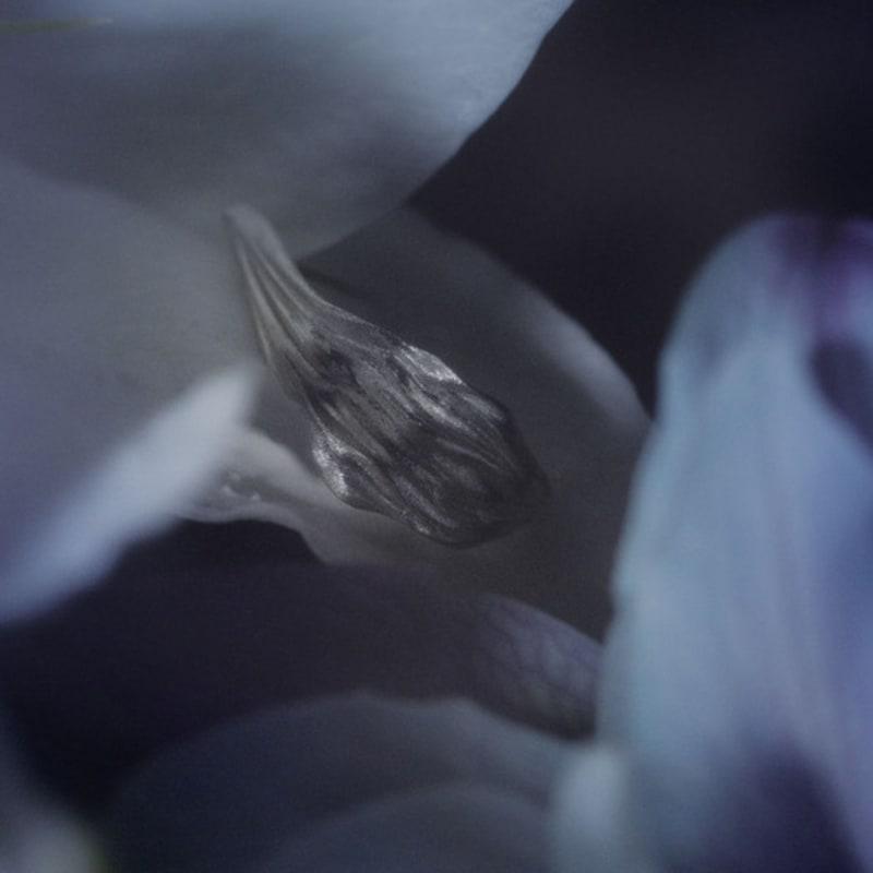 tomorrowobject 23FW. lily breeze. earring 03. 2 type