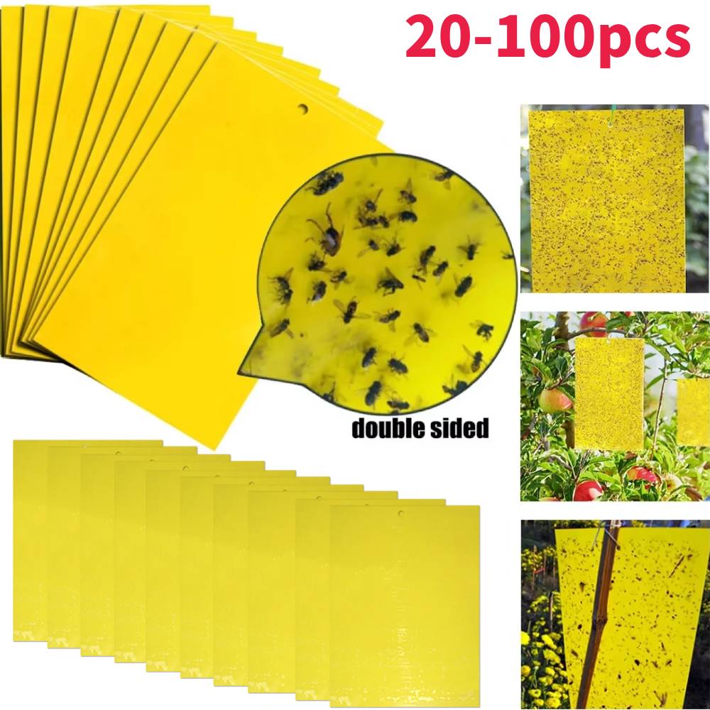 20/40/60/80/100Pcs Strong Flies Traps Bugs Sticky Board Catching Aphid Insects Pest Killer