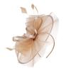 Mesh Fascinators Hats Feather Hair Clip Vintage Tea Party Hats
