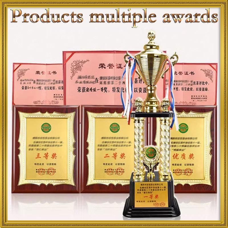 HelloYoung Mleczna Jin Xuan Oolong - Tajwańska herbata liściasta z Wysokich Gór - Wspaniały mleczny smak i aromat - Uprawiane organicznie - 250g Mocny aromat