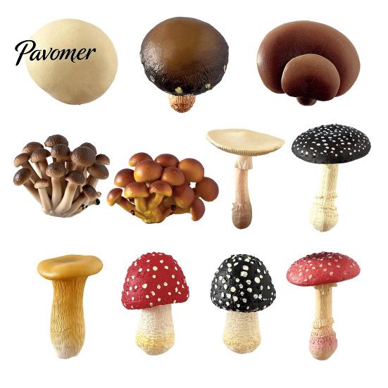 Mushroom Fridge Magnets 3D Refrigerator Magnet, Resin Fake Decorative Small Memo Holders Photo Notes Holder for Whiteboard Cabinet Kitchen Magnetic