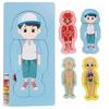 Children 3d Wooden Body Parts Puzzle Toy Anatomy Recognition Brain Development