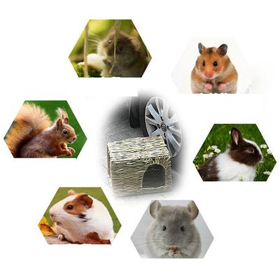 Tierbedarf – Nagetiere