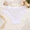 Seamless Lace Trim Briefs Transparent Women Lace Panties Breathable Sheer Mesh Underwear  Girls