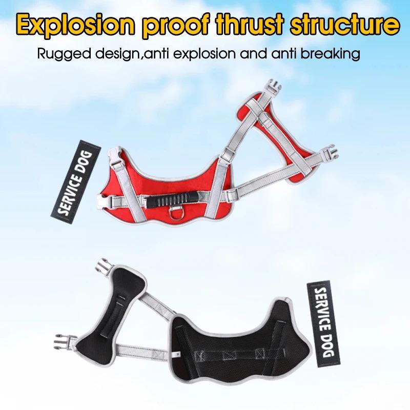 Puppy Harness for Dogs Accessories Dog Supplies Collars Harnesses Leashes Big Dog Leash Pet Collar Small Pets Things