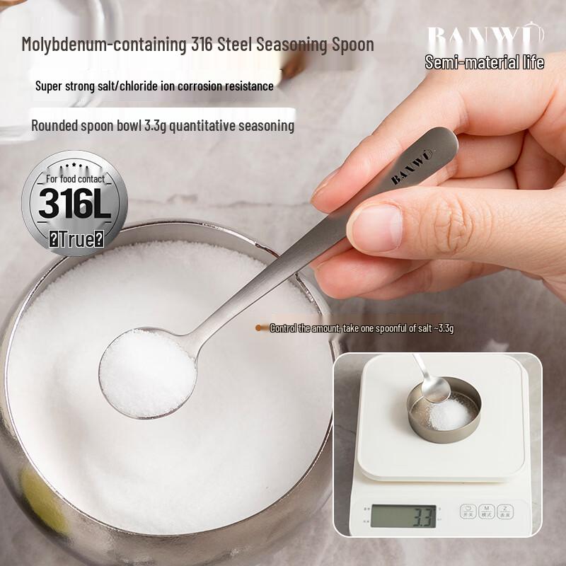 316 Stainless Steel Mini Salt & Seasoning Spoon