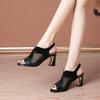 Fish Mouth Wearing Sandals Women's Summer 2025 New Patent Leather Breathable Thick Heel Hollow Mesh High Heel Cool Slippers