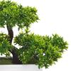 Artificial Plant Realistic Plants Potted Looking Eye-catching Plastic Simulation Bonsai Decor for Home