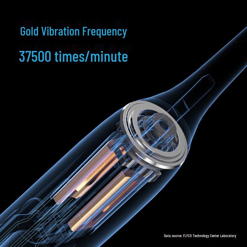 Flyco FT7105 Smart Sonic Electric Toothbrush