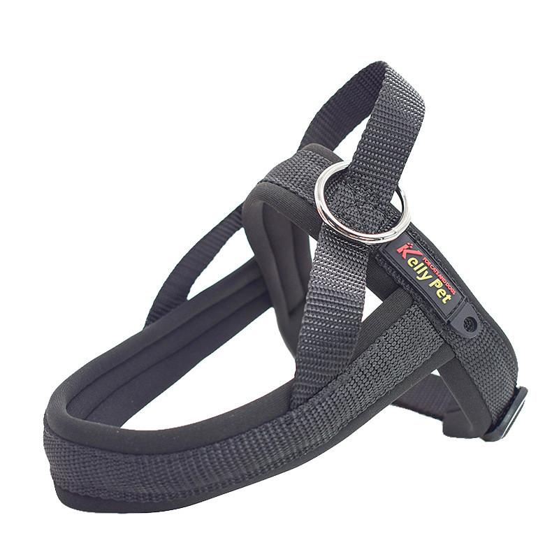 Kellypet Pet Harness And Leash Set With Adjustable Nylon For Small Dogs