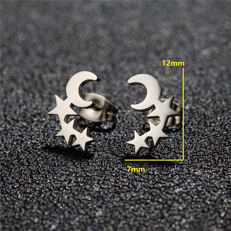 Big Star Earings Punk Stud Earrings Women Minimalist Jewelry Rose Gold Color Stainless Steel Earrings 2024 Piercing Accessories