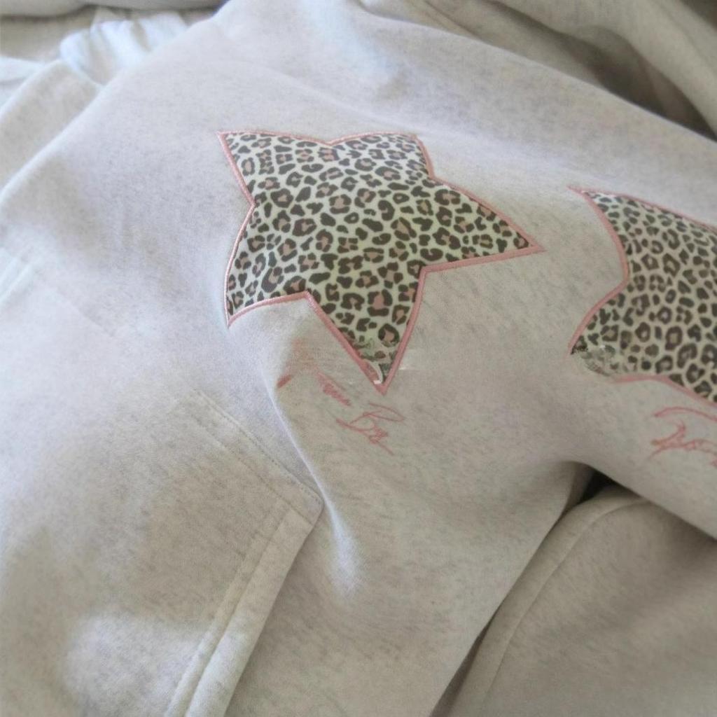 Embroidered Spring Leopard Print Star Print Hooded All-match Loose Casual Pullover Sweater for Men and Women