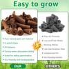 50Pcs Hydroponics Seed Starter Grow Sponges Seedling Starter Plugs Kit with Plant Labels Tweezer Replacement Root Garden Plantin