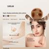 Carslan 'Little Cat' Cushion BB Cream