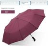 Paradise Umbrella, Fully Automatic One-Touch Open/Close, 10-Rib Extra-Large Folding Umbrella, Dual-Purpose for Sun and Rain, Automatic Umbrella