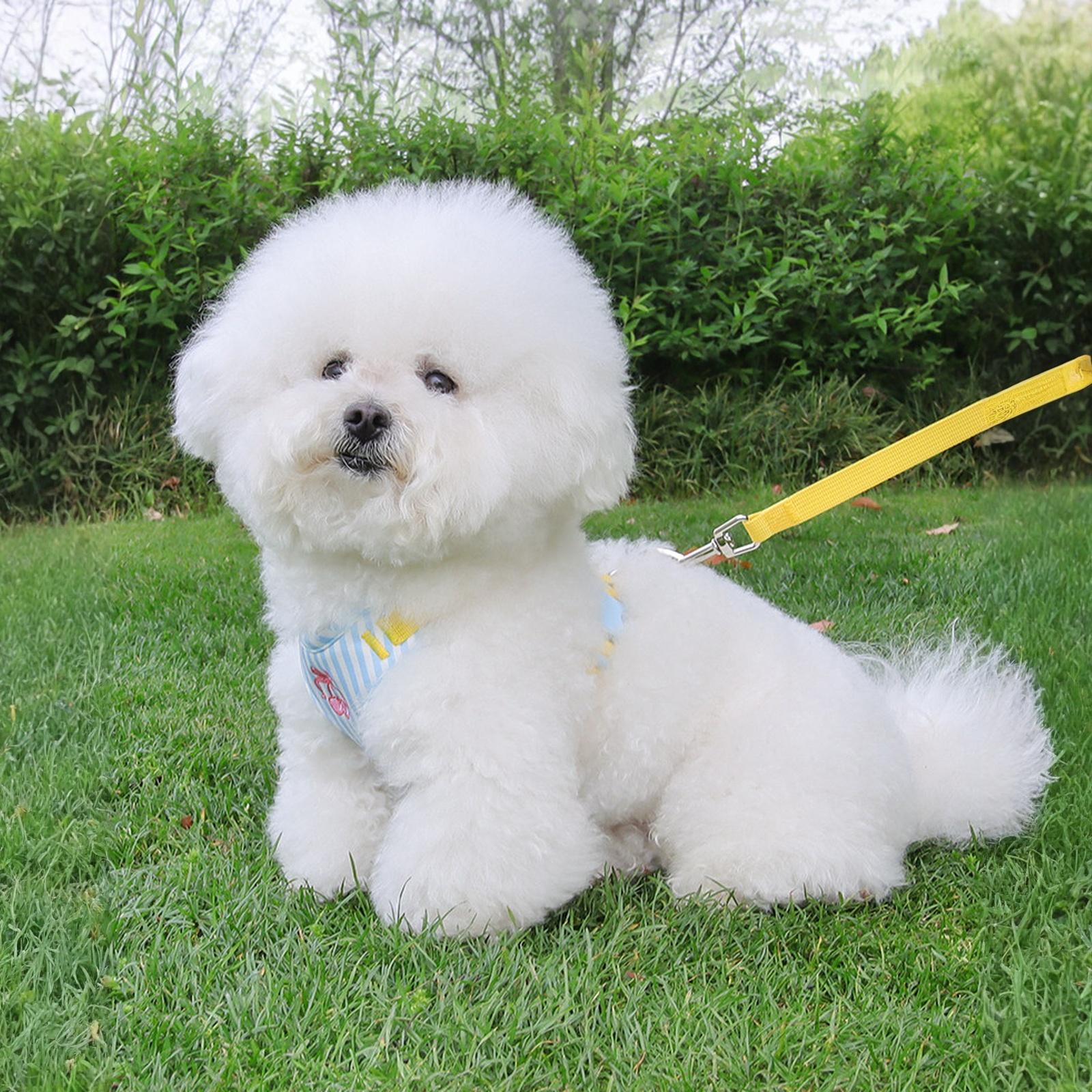 

Жилет для собаки wisedog с поводком - Нескользящий, милый, для маленьких и средних собак XS синий