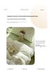 Ins Style Cotton Brushed Stripe Bedding Set: Skin-Friendly Bed Sheet, Duvet Cover, and Bed Skirt for Student Dorms