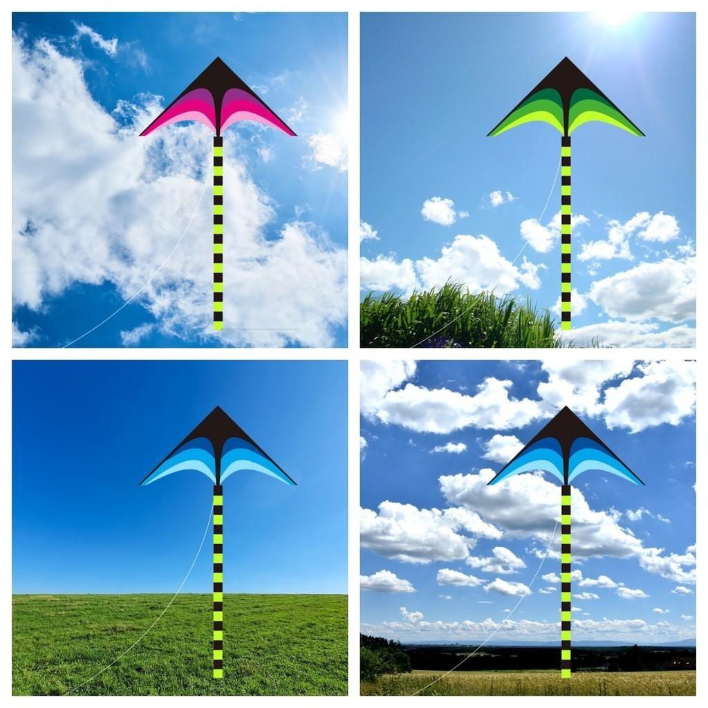 Neuer Großer Wiesen-Drachen Drachen für Erwachsene Outdoor-Unterhaltung Bunte Handgefertigte Glasfaserstange Moderner Schlichter Stil