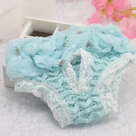 Pet Hygiene Pants Print Pet Supplies Lace Dogs Physiological Menstrual Hygiene Pants for Estrus Pet