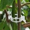 500/50PCS Plant Support Clips Reusable Plastic Connects Vine Fixing Clip Tomato Grape Vegetable Plants Holder Buckle Garden Tool