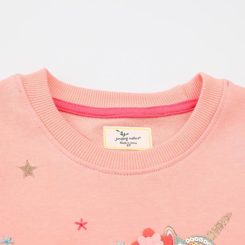 New Arrival: Girls' Autumn Hoodie with Cute Unicorn Cartoon Embroidery - European & American Style