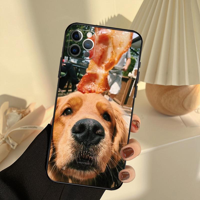 Golden Retriever Friend Phone Case For iPhone 15 14 13 12 11 16 17 Pro Max 13 Mini 15 16 Plus 16e 17 Air Cover Funda
