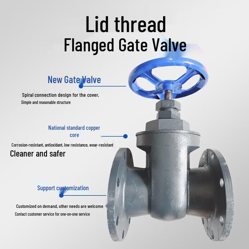 Yu Xiang Cast Iron Flange Gate Valve Z45T-16 with Copper Core
