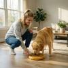 Pet General With Suction Cups Slow  Eating Bowl Feeding Pet Bowl