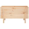 Raised Garden Bed 101x50x57 cm Solid Pine Wood