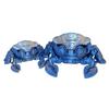 14CM 3D Printed Mechanical Crab Model Movable Joints Novelty Desk Decor Anti Stress Toy Miniature Collectible Birthday Gift