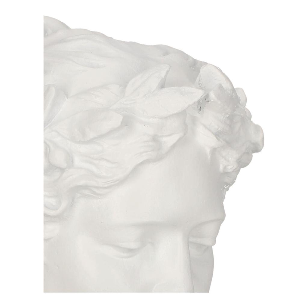 ORNAMENTO CLASSICO Testa di Venere bianca 26 x 22,5 cm