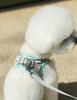 Breathable Vest-Style Pet Harness & Leash for Small Dogs & Cats