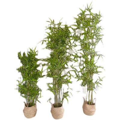 New Chinese Style Artificial Bamboo Bonsai for Living Room and Tea Room Decor