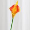 Calla Lily Artificial Wedding Bouquet - Home & Table Decor Flower Ornament