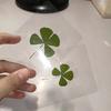 1/5/10Pcs Lucky Clover Postcards Natural Grass Transparent Wishing Cards For Bookmarks