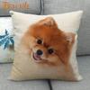 Nice Pomeranian Dog Pillowcase Bedroom Home Decorative Cover 45x45cm Square Zipper Pillow Cases Cotton Linen Fabric No Fade