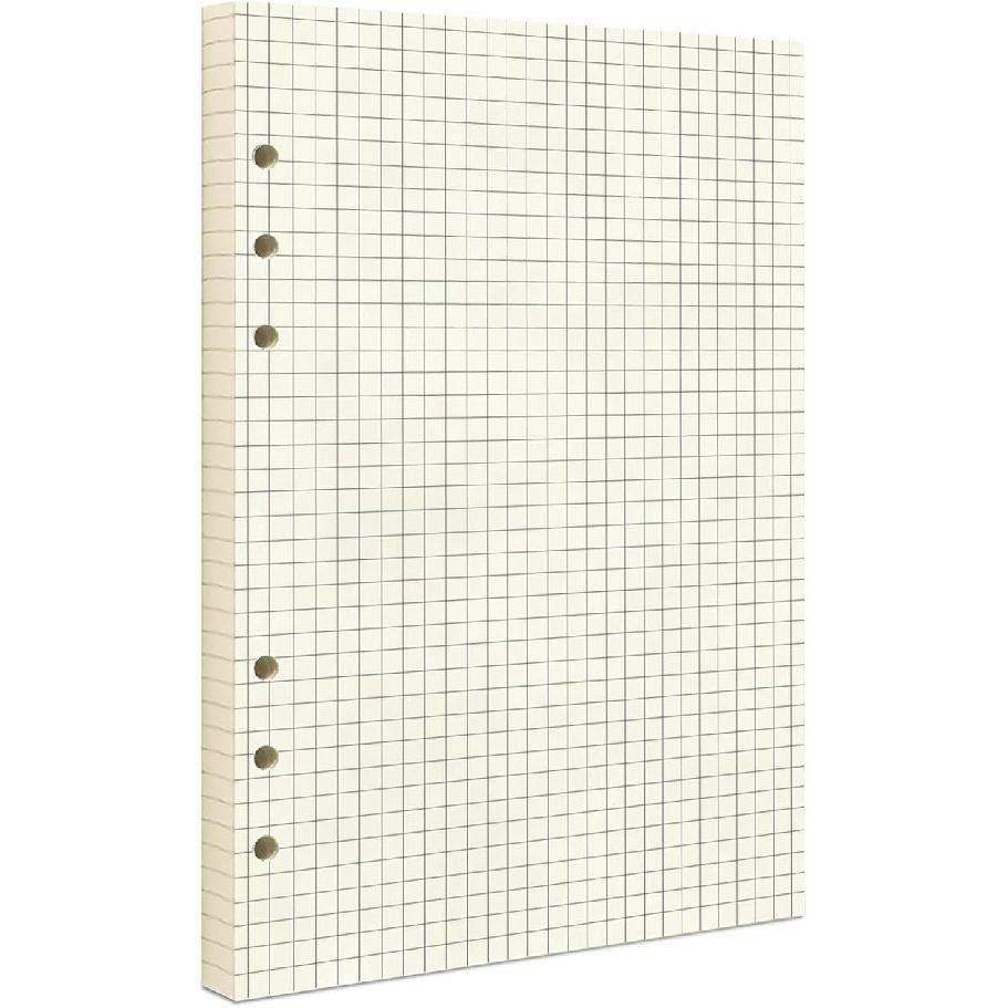 A5 Refill Paper, Unlined Blank Kraft Paper,100GSM Thick Refillable Paper 6 Hole Filler erts Loose Leaf Paper,for A5 6 Ring Binder,80 Sheets (160