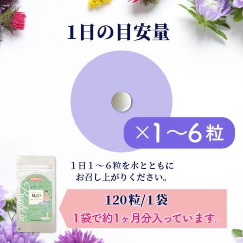 Magnesium Oxide for Constipation, Made in Japan with Traditional Technology and Pharmaceutical GMP, Toyama Health Plaza, Watanabe Pharmaceutical Co.,