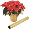Festive Plant Pot Cover Christmas Floral Foil Plant Pot Covers Red/golden Matte Texture Wrapping Paper for Home Flower Pot Decor