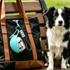 285ml Auslaufsichere Futter-Hundeflasche Tragbarer Hunde-Trinker 2-in-1 Edelstahl Leichtes Reise-Haustierzubehör