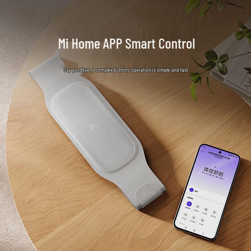 Xiaomi Smart EMS Waist Massager with Graphene Heating