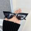 Designer Cat Eye Sunglasses Women Men Comfortable Cateye Sun Glasses Female Male Small Frame Mirror Trendy