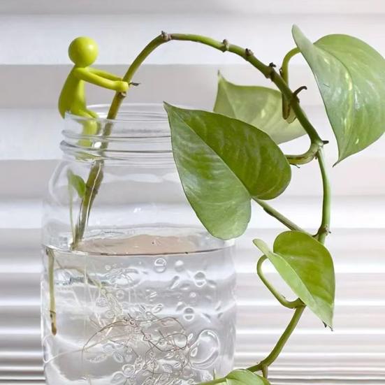 Plant Stand Hydroponic Plants Pothos Ivy Lucky Bamboo Succulents Cartoon Holder with Clamp Design Indoor Garden Decor